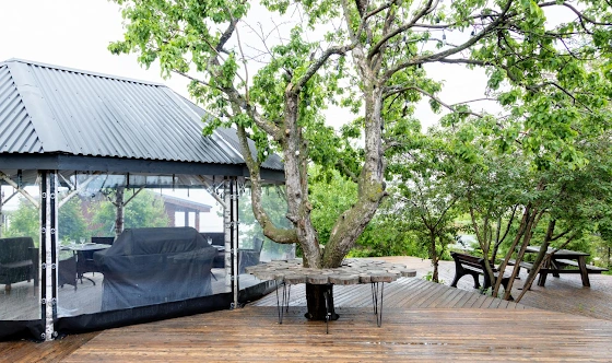 Фото №3 зала Шатер 