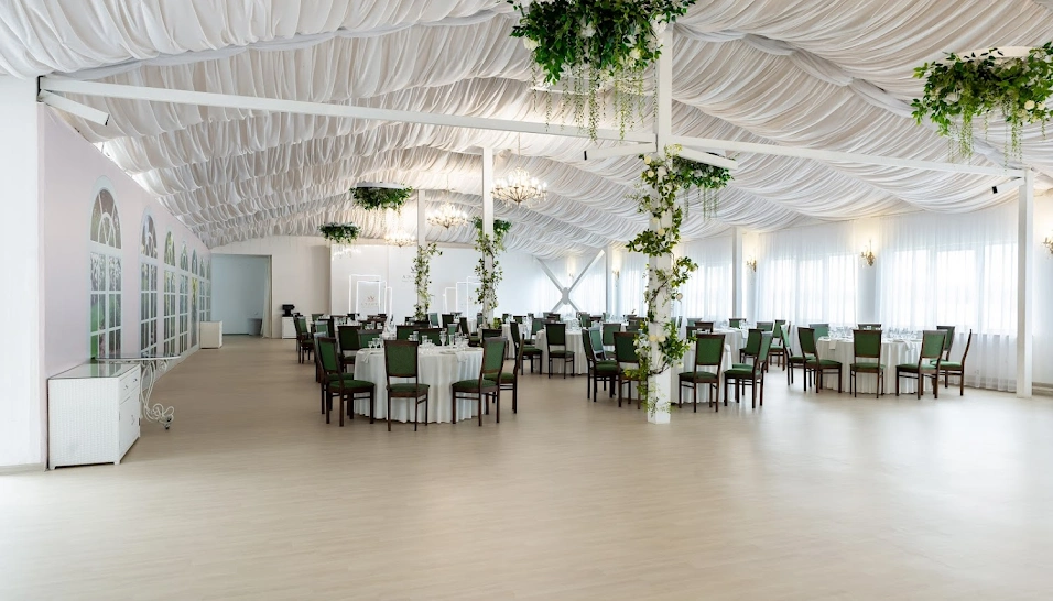 Фото №15 зала Зал «Аэлита»