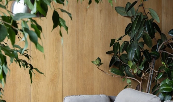 Фото №13 зала Большой зал