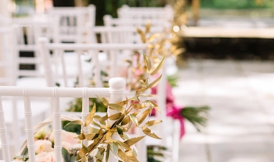 Фото №2 зала Летняя веранда