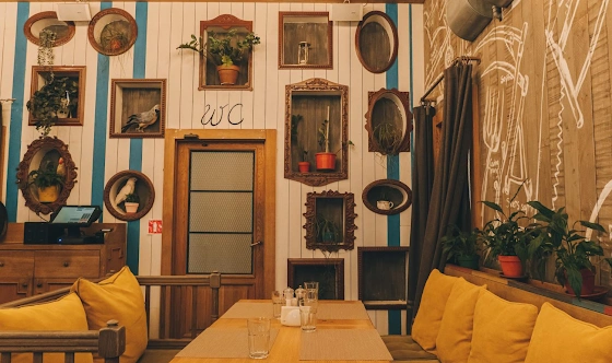 Фото №6 зала Попугаи