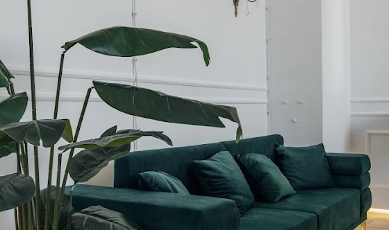 Фото №5 зала Зал "Империал"