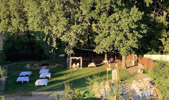 Фото №1 зала Зеленая площадка