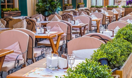 Фото №6 зала Летняя веранда