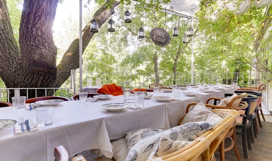 Фото №7 зала Веранда