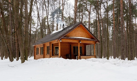 Фото №5 зала Домик