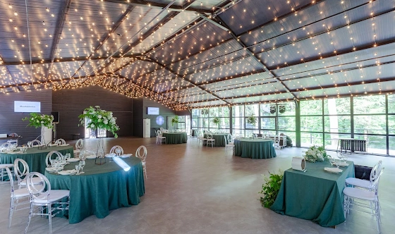 Фото №14 зала Веранда «Дивный Лес»