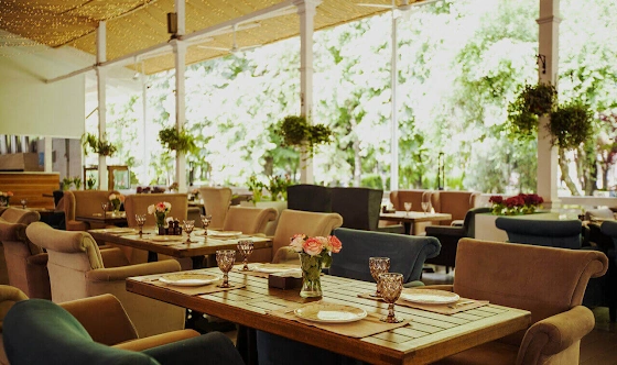 Фото №1 зала Веранда