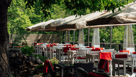 Фото №3 зала Летняя веранда