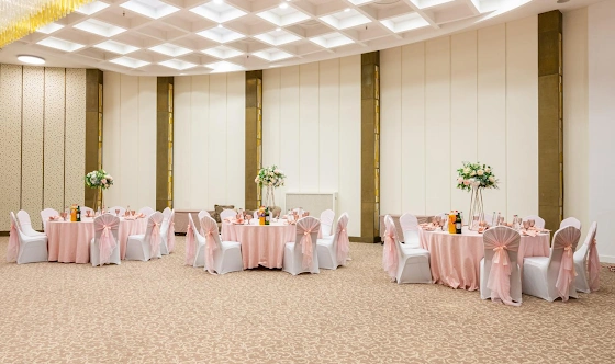 Фото №15 зала Зал «Россини» 