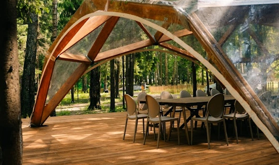 Фото №1 зала Сфера в лесу