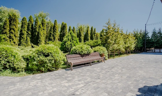 Фото №5 зала Летняя площадка