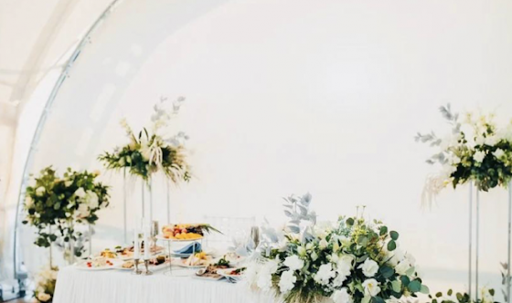 Фото №6 зала Шатер