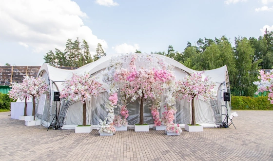 Фото №6 зала Шатер