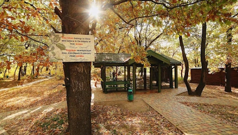 Фото №4 зала Беседка "Шале"