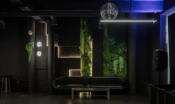 Фото №17 зала Mr.Black