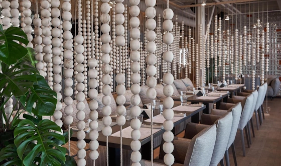 Фото №17 зала Савушкина 