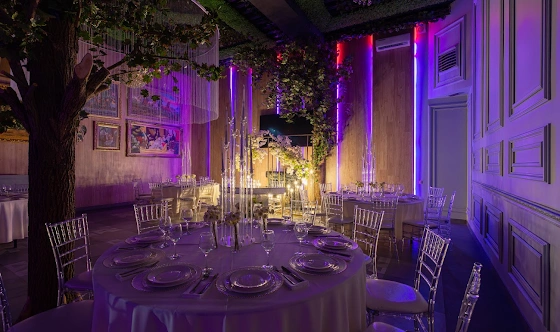 Фото №10 зала Зал «Галерея»