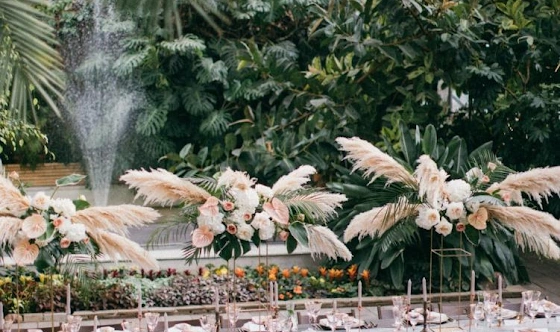 Фото №7 зала Оранжерея 