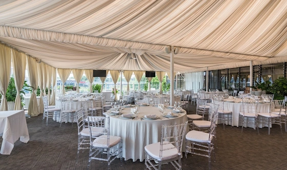 Фото №15 зала Веранда «Гуси-Лебеди»