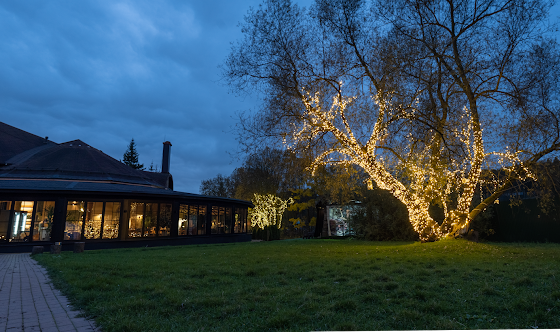 Фото №17 зала Веранда