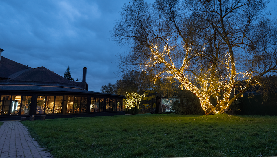 Фото №17 зала Веранда