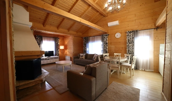 Фото №2 зала Альпийские дома "Южный поселок"