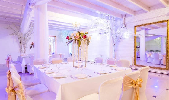 Фото №7 зала Зал «Элизиум»