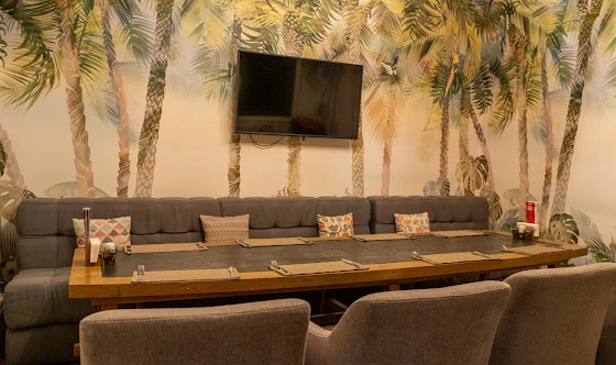 Фото №1 зала VIP-зал караоке 