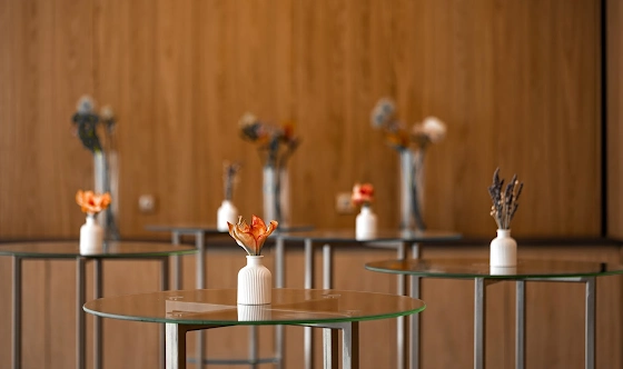 Фото №14 зала Зал «Венера»