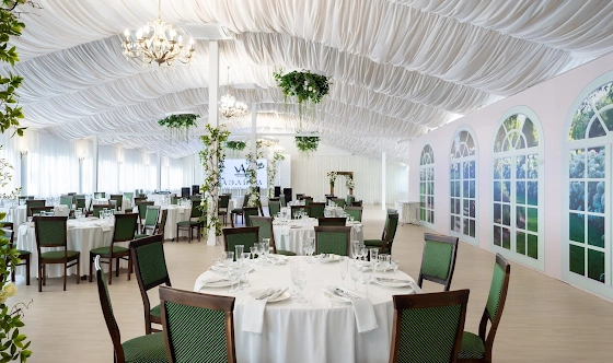 Фото №7 зала Зал «Аэлита»