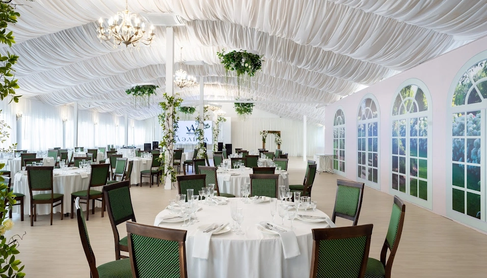 Фото №7 зала Зал «Аэлита»