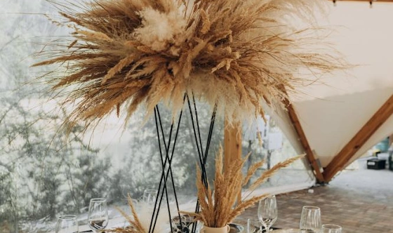 Фото №5 зала Уютный шатер