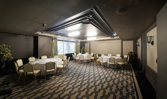 Фото №12 зала VIP-зал