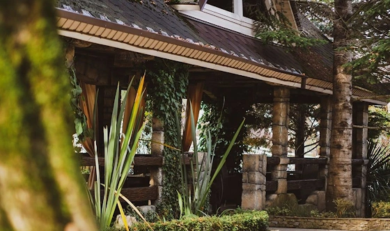 Фото №13 зала Беседки