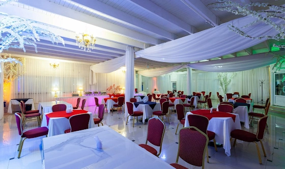 Фото №16 зала Зал «Элизиум»