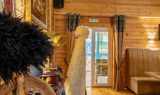 Фото №16 зала Основной зал