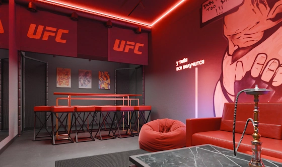 Фото №17 зала Лофт «UFC»