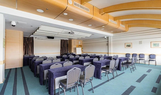 Фото №15 зала Зал "Малый панорамный"