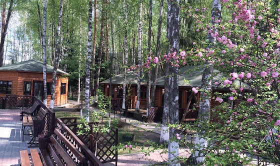 Фото №7 зала Круглогодичные беседки