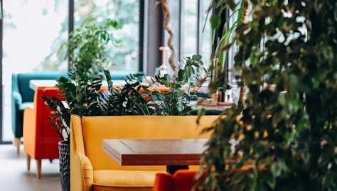 Фото №2 зала Веранда