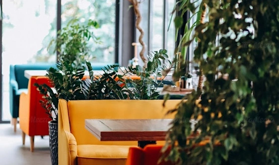 Фото №2 зала Веранда