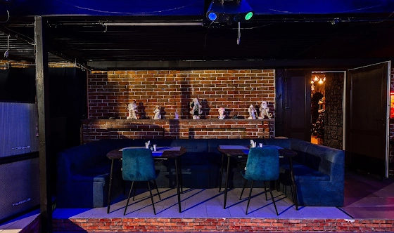 Фото №7 зала Ночной зал