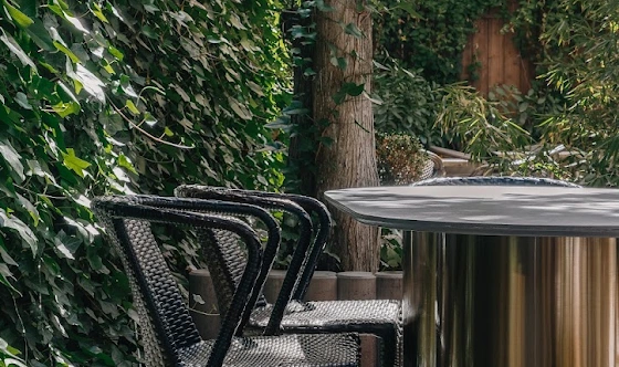 Фото №3 зала Летняя веранда