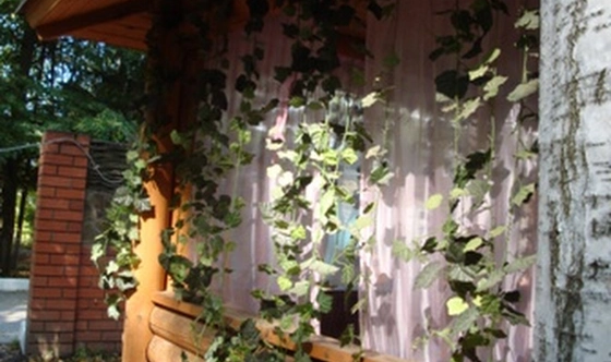 Фото №5 зала Малая беседка