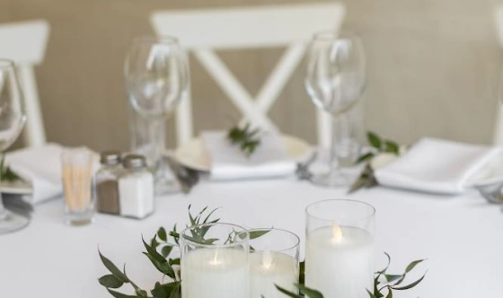 Фото №14 зала Летний шатер