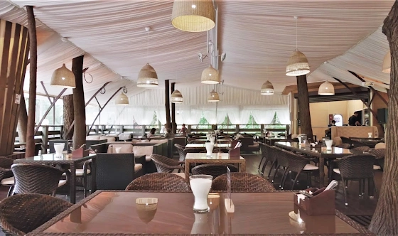 Фото №1 зала Летняя веранда