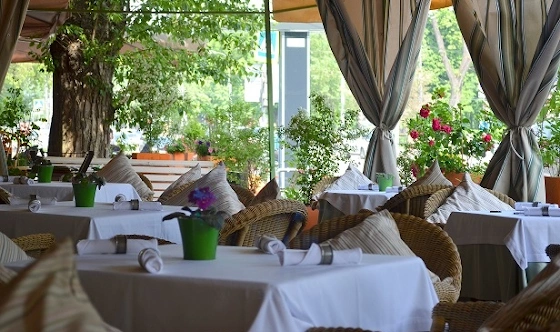 Фото №9 зала Летняя веранда