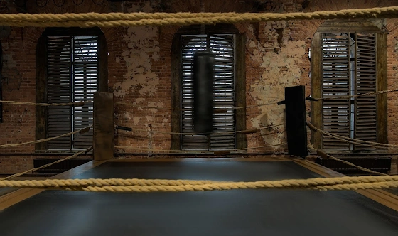 Фото №6 зала Ринг 