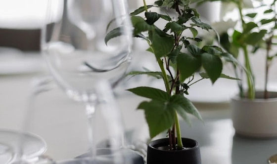 Фото №11 зала Банкет-Холл Сити